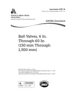 AWWA C507-18