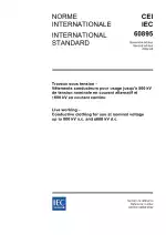 IEC 60895:2002