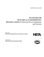 NETA ECS:2020