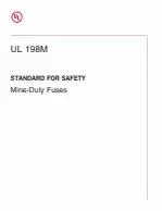 UL 198M:2018