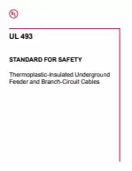 UL 493:2021